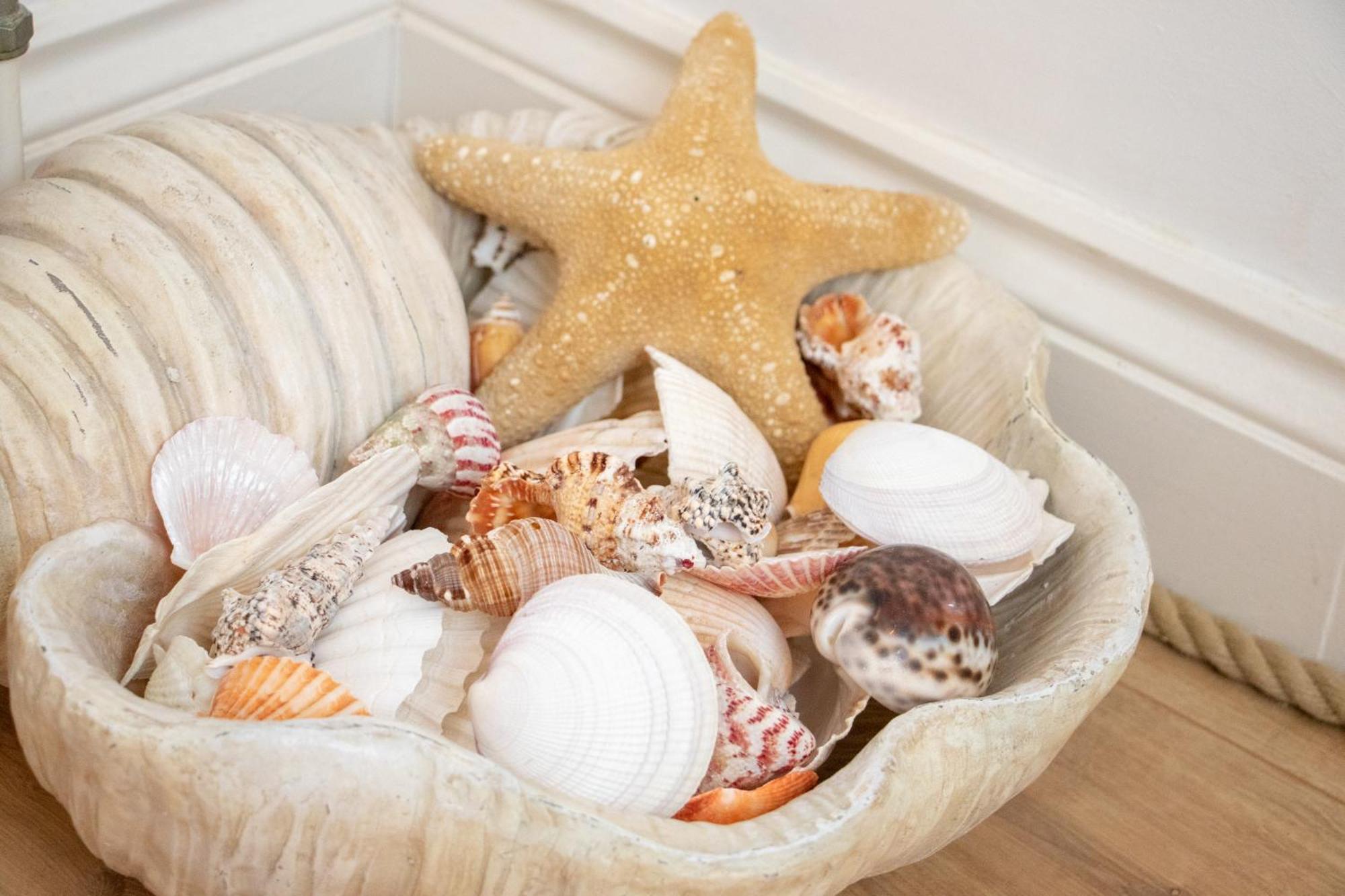 The Beach House Holiday Apartments Eastbourne Eksteriør billede